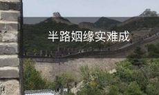 经历了多次患难、艰辛,却仍无法继续走下去——探讨半路姻缘在现代社会中面临的种种困境