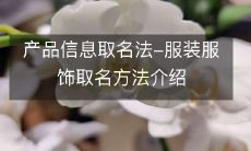 介绍服装服饰的产品信息取名方法:从创意到命名,完整分析打造品牌命名的实用指南