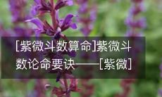 探索生命奥秘:揭秘紫微斗数算命的精髓,掌握紫微斗数论命要诀