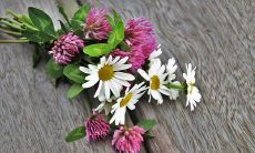 十二星座中最坦诚自然,毫不掩饰真实本性的星座排行:这些星座绝不会虚伪地隐藏自己,对伪装自己持着不屑一顾的态度