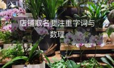 为了成功,你需要精心设计店铺名,注重字词和数理的深度融合!