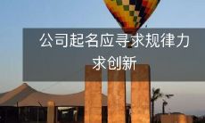 在公司命名时，应寻求规律性以及追求创新性的平衡，并且应尽力遵从行业标准与经验