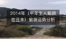 2014年甲年生人的紫微斗数运势详解：注目于丑未之间的紫薇位置