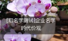 探究企业名称的价值观:一项取名测试