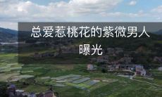 揭露那些总喜欢招惹桃花的紫微命男人的真实面貌