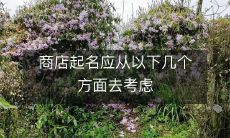 商店起名，需要考虑以下关键因素以确保品牌成功立足