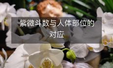 通过紫微斗数确定人体部位的关联:探究银河系中古老的命理学术应用