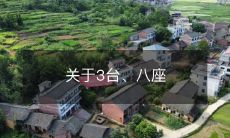 有哪些适合全家出游的8座车型？