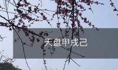 改写后的标题：历史上的天干地支纪年法——探究天盘甲戌己系别称和传承