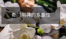 深入探究奇门用神的多重性及其在中华文化中的深远影响