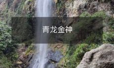 的传说:探究古老神话中青龙与金神的神秘联系与深层内涵