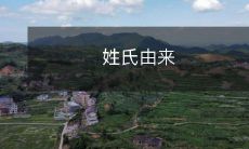 - 探寻人类文化的渊源:姓氏由来的历史和文化背景