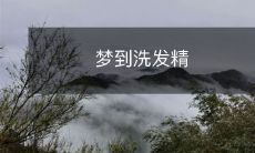 昨晚做了个梦,梦见洗发精在我的头发里打转,让我深思人生的意义和宇宙的奥秘
