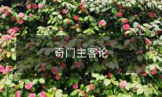 奇门主客论:古代风水学说中的阴阳五行与天人合一的哲学思想探析