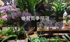 通过数据分析和机器学习技术进行的精准体育竞争结果预测,帮助您在投注、制定竞赛策略和决策方面得到更好的指引