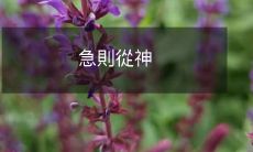 速求助神明:在遇到紧急情况时如何寻求神灵的帮助?