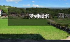 做梦时穿越绸缎世界,沉浸在充满质感的锦缎材质之中!