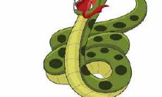 1989年出生属蛇人生肖贵人是哪个属相?在十二生肖中属于什么生肖属相?