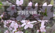 在梦中体验手链断裂的不安：一场充满无助和失落的梦境体验