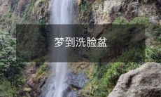 在梦中经历的情景：一个凹凸有痕、洗得发白的洗脸盆，居然意外地成为令人心动的难忘记忆