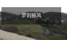 的我:又是一夜在梦中飞翔,穿越时空披风翩跹之中的我