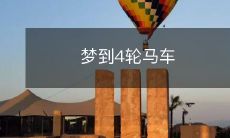 缓缓驶过,车上载满装饰华丽的贵妇,一股浓浓的古典气息扑面而来的奇妙梦想体验