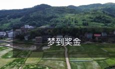 梦到获得额外的财务报酬——奖金!