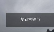 在梦境中看到古钱币,仿佛穿越时空,重温历史,细察它们的历史背景与特点,沉浸在古老的文化宝藏中