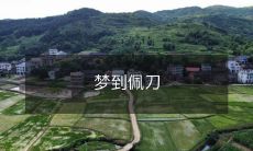 在梦中见到一把闪亮的佩刀:神秘的象征与深层心理的隐喻