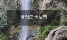 在梦中看到了一个复杂的、似网状的物体