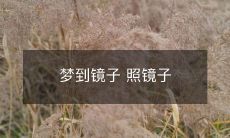 在梦中看到自己反射在镜子中:梦中照镜,发现自我存在的现象