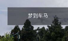 我在梦中遇到了一群可爱的马儿和骑着华丽马车的贵族,畅游在如画般的田园风光之中