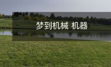 状如人形：一个机械化的梦境中探索机器与人之间的界限