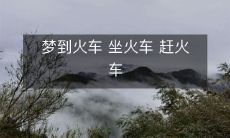 在梦中坐火车,再现赶火车的场景