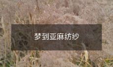 的我:从梦境中寻找灵感,探究亚麻纺纱的生产过程和文化背景