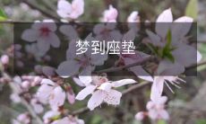 在梦中看到座垫，让我陷入了深深的幻想与遐想之中