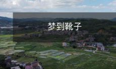 我做了个奇怪的梦,梦见我穿上一双漂亮的靴子,在柔软的草地上漫步,尽情享受天堂般的美景