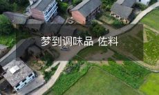 如何解读梦中出现的调味品和佐料？从梦境中探究食材和菜品的含义与象征意义！