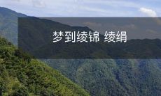 在梦中穿越时空，沉浸在绫锦绸缎的华丽世界中