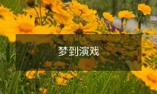 我做梦梦到自己在舞台上成为演艺界的明星，享受着灯光下的喝彩声和掌声！