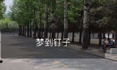 梦中的奇幻旅程:探索神秘意义的钉子之梦