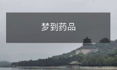 信听从直觉,随心所欲品味药性——探究梦境中药品象征意义的探索之旅