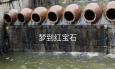 在梦中见到闪闪发光的红宝石:探索梦境中与宝石相关的象征意义及心理反应