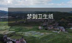 在梦中看到一张白色的卫生纸,它轻轻飘舞在空中,仿佛成为了梦境中的主角,令人难以忘怀