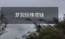 如梦如幻：夜晚的梦境中出现了闪耀的珍珠项链，让人无法忘怀的神秘体验！