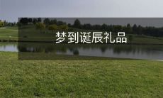 梦中观赏诞辰礼品的奇妙体验