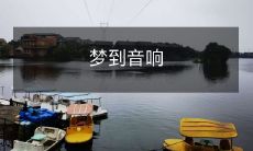 在梦中经历音响自由飞舞的奇幻旅程