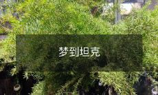 在梦中体验坦克开火和战斗的激烈情景：一位人类的让人难以置信的梦境体验！