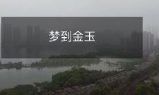 闪耀璀璨的黄金与璎珞——一场精彩纷呈的梦境