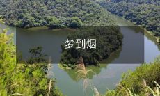 梦中游览烟雾缭绕的幻境——追寻内心隐秘需求的视觉化想象